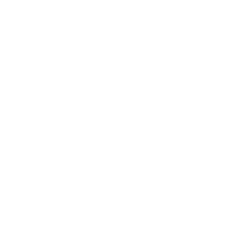 INSANE PRINT & DESIGN